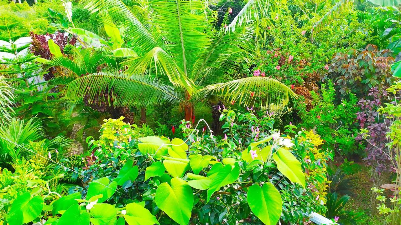 Villa Modara タンガラ エクステリア 写真